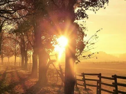 5-Minute Morning Peace: Starting Your Day With Serenity