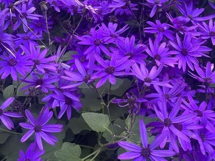 5-Minute Morning Reset — Crystal Singing Bowls