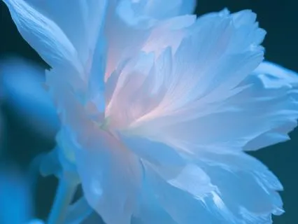 5-Minute Music For Calming Work Stress: Daily Practice