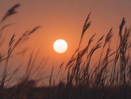 5-Minute Music for Soothing the Mind and Meditation