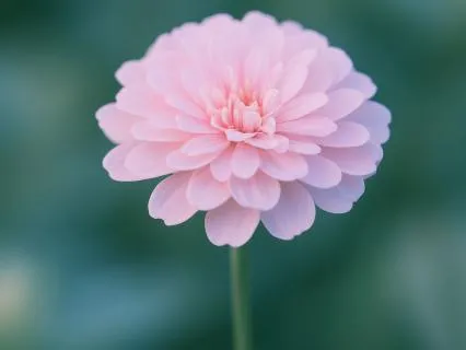 5 Minute Music to Listen to Before Meditation (Or During)