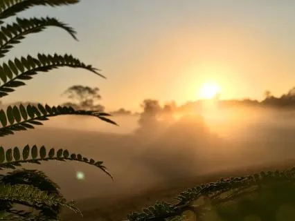 5 Minute Nervous System Reset For Morning Anxiety