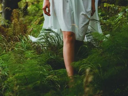 5-Minute Nervous System Reset | Relaxing Forest Meditation