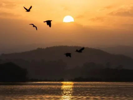 5 Minute Nervous System Reset