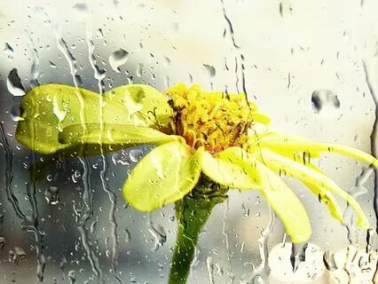 5-Minute Power Nap | Shavasana Music | Deep Rest