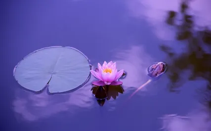 Deep Relaxation In Only 5 Minutes