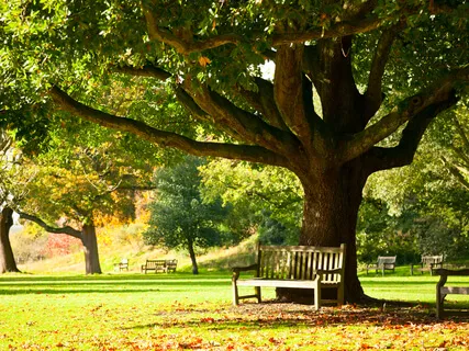 5-Minute Relaxing Meditation