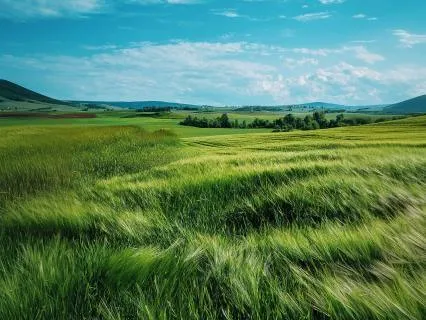 5-Minute Relaxing Music For Calming and Winding Down