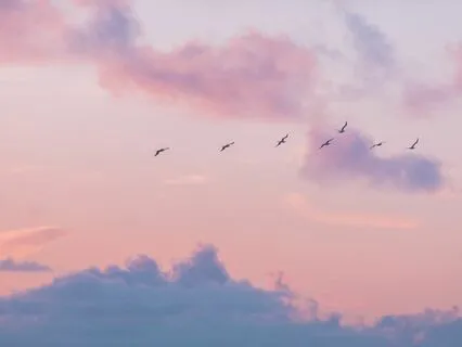 5 Minute Release & Let Go Meditation