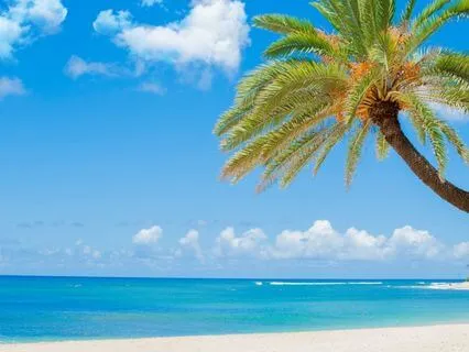 5-Minute Reset - Appreciate Everything