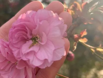 5 Minute Reset For Busy Mums