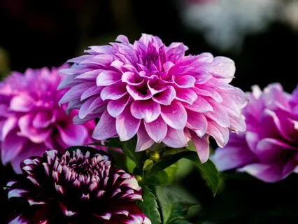 Stress Relief For Parents Of Children With Special Needs