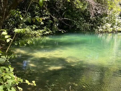 Stress Reset To Calm