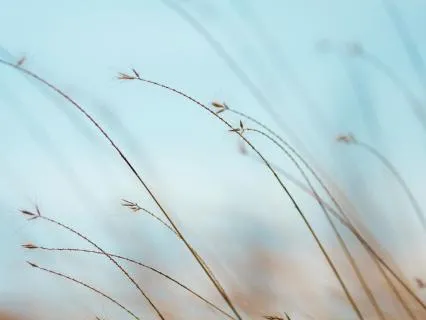 5-Minute - Reset Your Energy