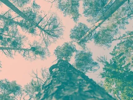 5-Minute Resource Practice