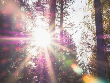 5-Minute Sacred Connection Prayer