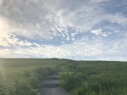 5-Minute Seated Nidra Reset