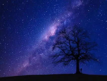 5-Minute Sleep Meditation | Nightly Subconscious Reset