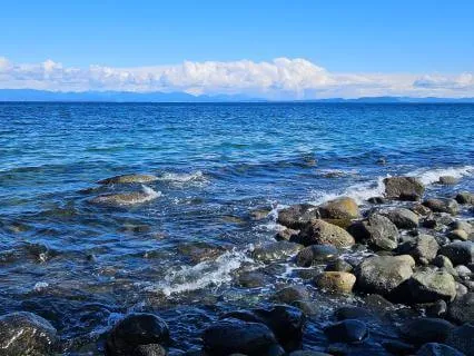 5 Minute Somatic Grounding Practice