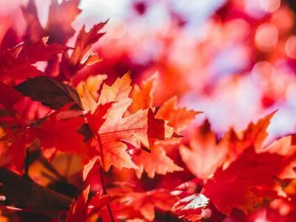 5-Minute Stress Release -  Let Go Of Tension And Find Calm