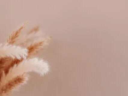 5-Minute Stress Relief Meditation