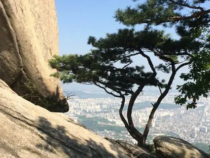 5-Minute Meditation For Deep Relaxation