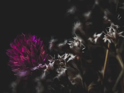 5-Minute Third Eye Chakra Meditation | Singing Bowl 432Hz