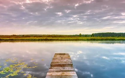 5 Minute Transition Reset Meditation