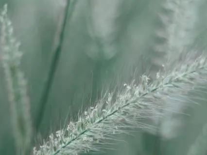 5-Minute Vagus Nerve Meditation For Stress Relief