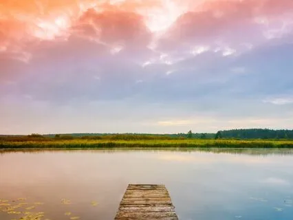 5 Minute Vinyasa Yoga Flow #2