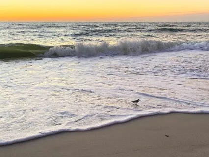 5-Minute Watching The Waves Of Breath Meditation