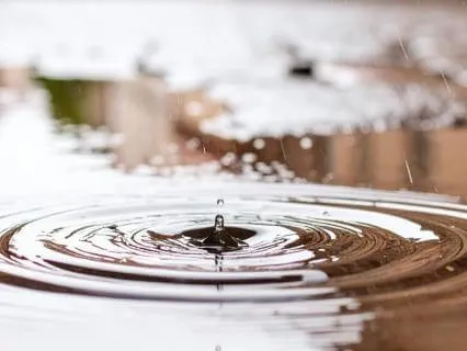 5 Minute Wise Mind: Finding Balance In Stressful Moments