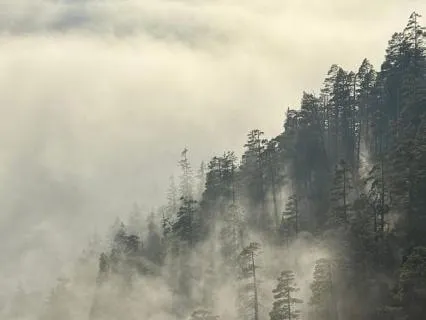 5 Minutes Breathwork For Instant Calm And Clarity