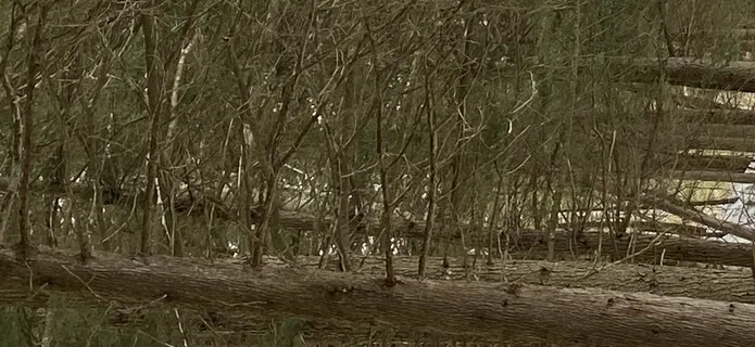 5 Minutes For Focus And Clarity