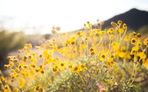 5 Minutes For Mom - Help Handling Big Emotions And Kid Chaos