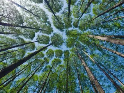 5 Minutes Mindful Breathing Break Time