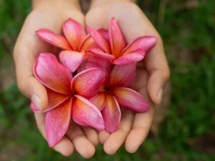 5 Minutes - Mindful I Am Grateful Affirmations