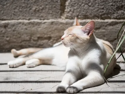 5 Minutes Of Box Breathing To Clear Your Mind