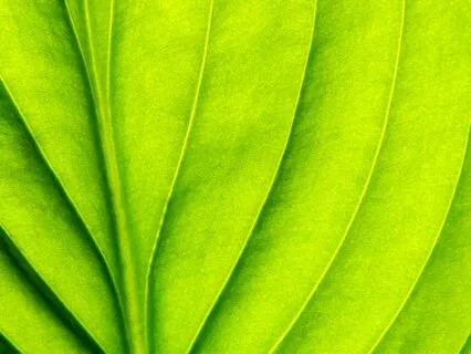 5 Minutes Of Calm Affirmations