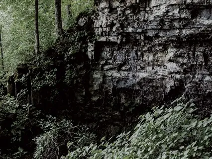 5 Minutes Of Crickets-An Upstate NY Summer Evening ASMR