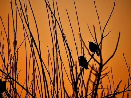 5 Minutes Of Deep And Relaxing Music