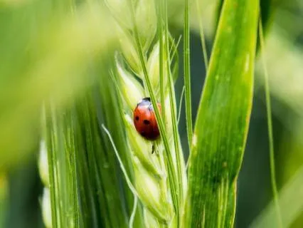 5 Minutes Of Focus On One Small Thing