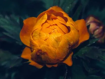 5-Minutes Of Gratitude, Day 3: The Present Moment