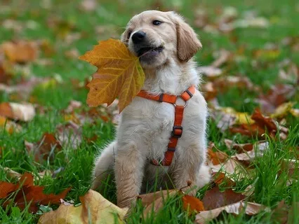 5 Minutes Of Gratitude