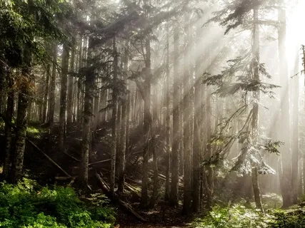 5 Minutes Of Mindful Breathing 