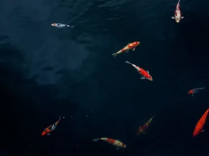 5 Minutes Of Mindfulness 