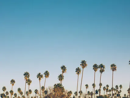 Soothing & Delicate 5-Minute Melodies For Meditation