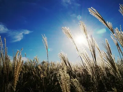 5-Minutes of Peace & Quiet