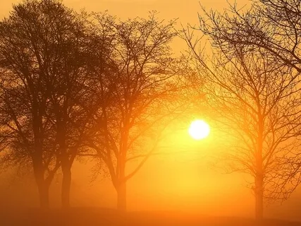 5 Minutes Of Peace  |  Mindfulness @ Work | Office Music For Stress Relief