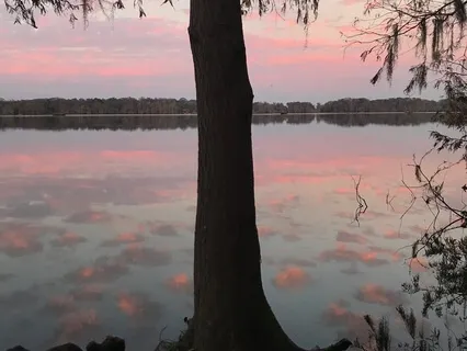 5 Minutes Of Presence